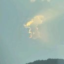 보성전어축제 소식 이미지