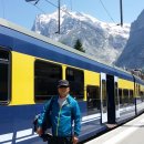 시청 정문 앞 이미지