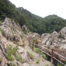 왕피천 은어길 이미지