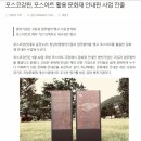 주식회사 고담 이미지