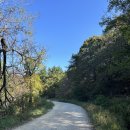 복흥 선경 흑염소 | 금정산 최단 코스(편도 1시간 반) 등린이도 고당봉 가능 / (부산학생 인성교육원->북문->고당봉)