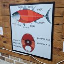 임채환참치정육점 이미지