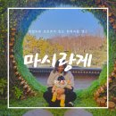 비밀의 문 | 전주 한옥마을 카페 마시랑게 후기 - 비밀의 문 디저트와 감성 포토존