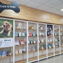 관양도서관 이미지