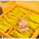 토미펫샵 이미지