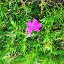 여강길(5코스 황학산길) 이미지