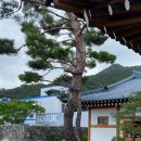 (주)오감디자인 이미지