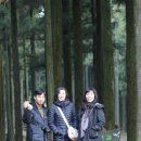 윤영농장 이미지