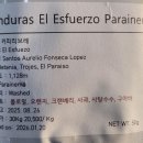 에스푸에르조