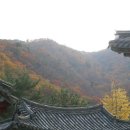 오어사 - 1880 | 오어사