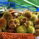 박덕흠 국회의원, &#39;한국도로공사 및 교통안전공단 국정감사&#39;(과선교 안전질의) 이미지