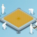 잡학다식 이미지