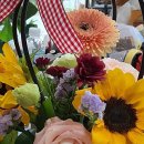 성성유치원(단설) 이미지