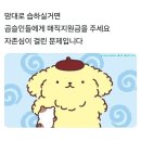벌써 2024년 반년 흘러간 거 실화세요? | 복슬이의 일상블로그 (일상 포토덤프 2주차)