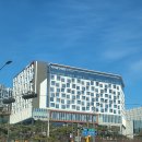 판교제2어린이집 | 나인트리 판교 수영장 시간 가격 4살 아이 호캉스 내돈내산 후기