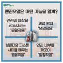 삼진자동차 이미지