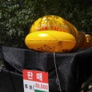 폭포상회