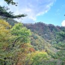 구룡사 - 1336 | 구룡사
