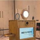 리즈펠리스 이미지