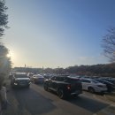 반달어린이공원 | 수원 벚꽃명소🌸 경희대 국제캠퍼스 벚꽃구경 개화 만개 직전! (+주차요금, 주차 팁!!)