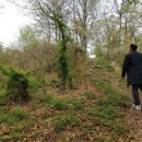 흑석동산성 이미지