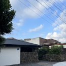 쉴틈올레 이미지