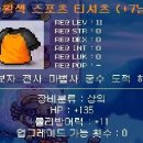 [렙제:11][종류:상의][직업:전직업][이름:주황색 스포츠 티셔츠(남)] 이미지