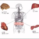 프로폴리스의 요점정리... www.scukotra.com 이미지