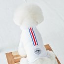 BICHON KOREA 이미지