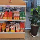 개구리노래연습장 이미지