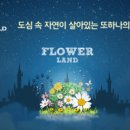 카니발월드 네이버블로그