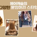 티는 머리헤어