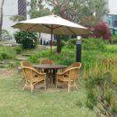 고운님 전통차 이미지