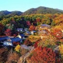 선재농장 이미지