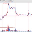 신성바이오텍 이미지