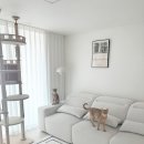 퍼니버튼 | 폴인퍼니 데이브 무빙소파 내돈내산 고양이 발톱 버틸까 솔직후기