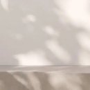 참참공인중개사사무소 이미지