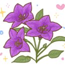 지코바양념치킨 이미지