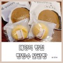 대명역 빵집, 빵장수 단팥빵 앞산삼정그린점 ♡ 쫀득한 모찌 강추