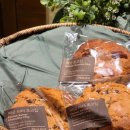 홀리크로스 이미지