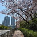 스마트폰으로 여는 새로운 세상 네이버블로그
