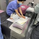 연세위더스여성의원 이미지