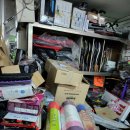 영스포츠 이미지