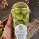 서준농장 네이버블로그