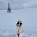 그림자호수 | 삿포로 비에이 버스투어 추천｜흰그림자투어 겨울 후기(2회 내돈내산)