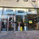 폭풍장어 이미지