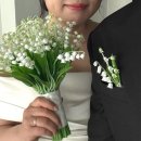 레이어아트스튜디오