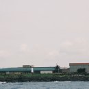 [26’ Jeju] 겁났던 배 위에서, 아이는 돌고래를 만났다 | 제주 요트 돌고래 투어 아이와 후기