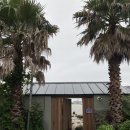 김녕을 그리다 | 제주도/제주 동쪽 감성숙소 애견동반가능 자쿠지 독채펜션 “김녕을그리다”