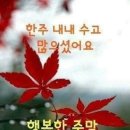 수림결혼정보 이미지